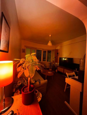 Cosy apartment near taksim square , cihangir